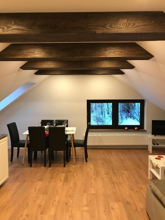 Apartamenty Goszowianka Stronie Śląskie Екстериор снимка