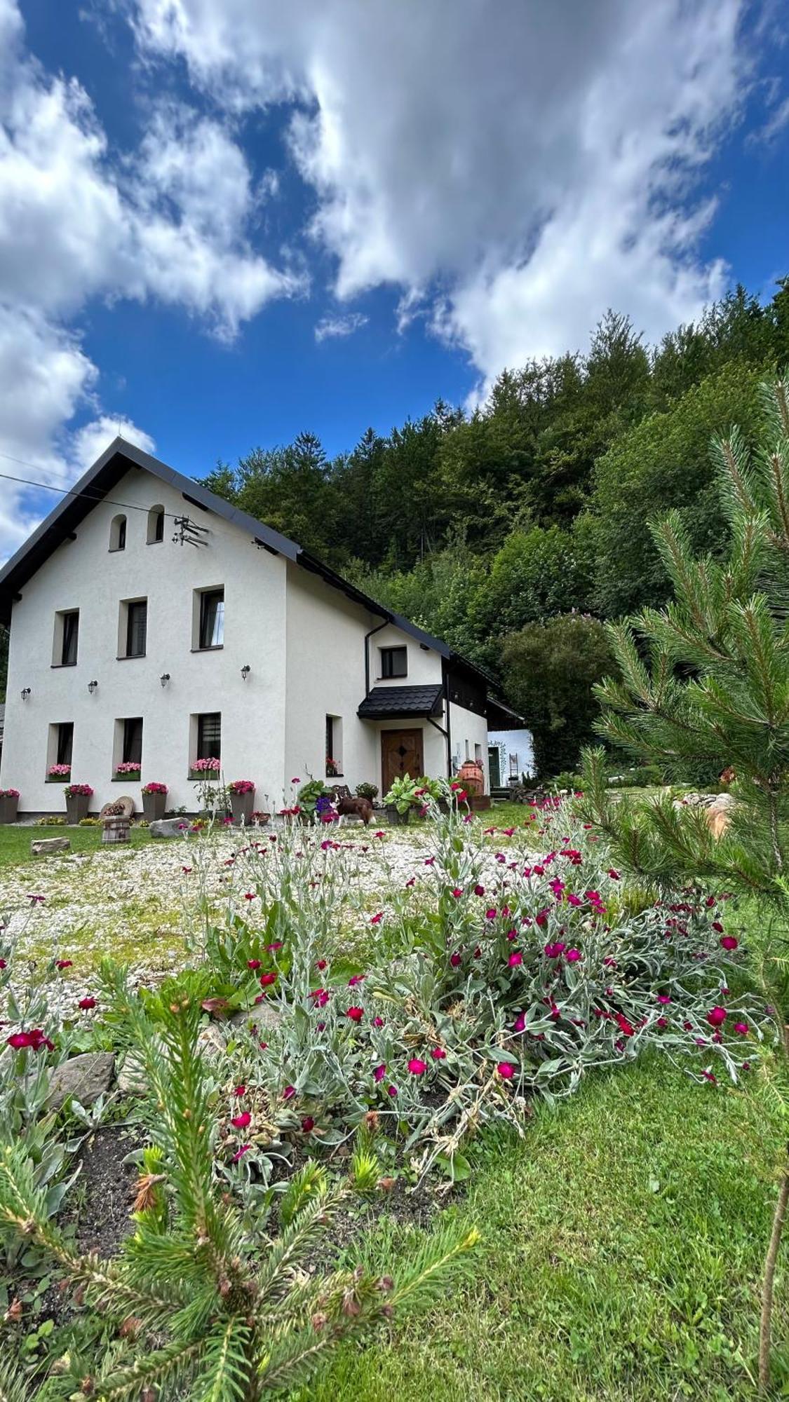 Apartamenty Goszowianka Stronie Śląskie Екстериор снимка