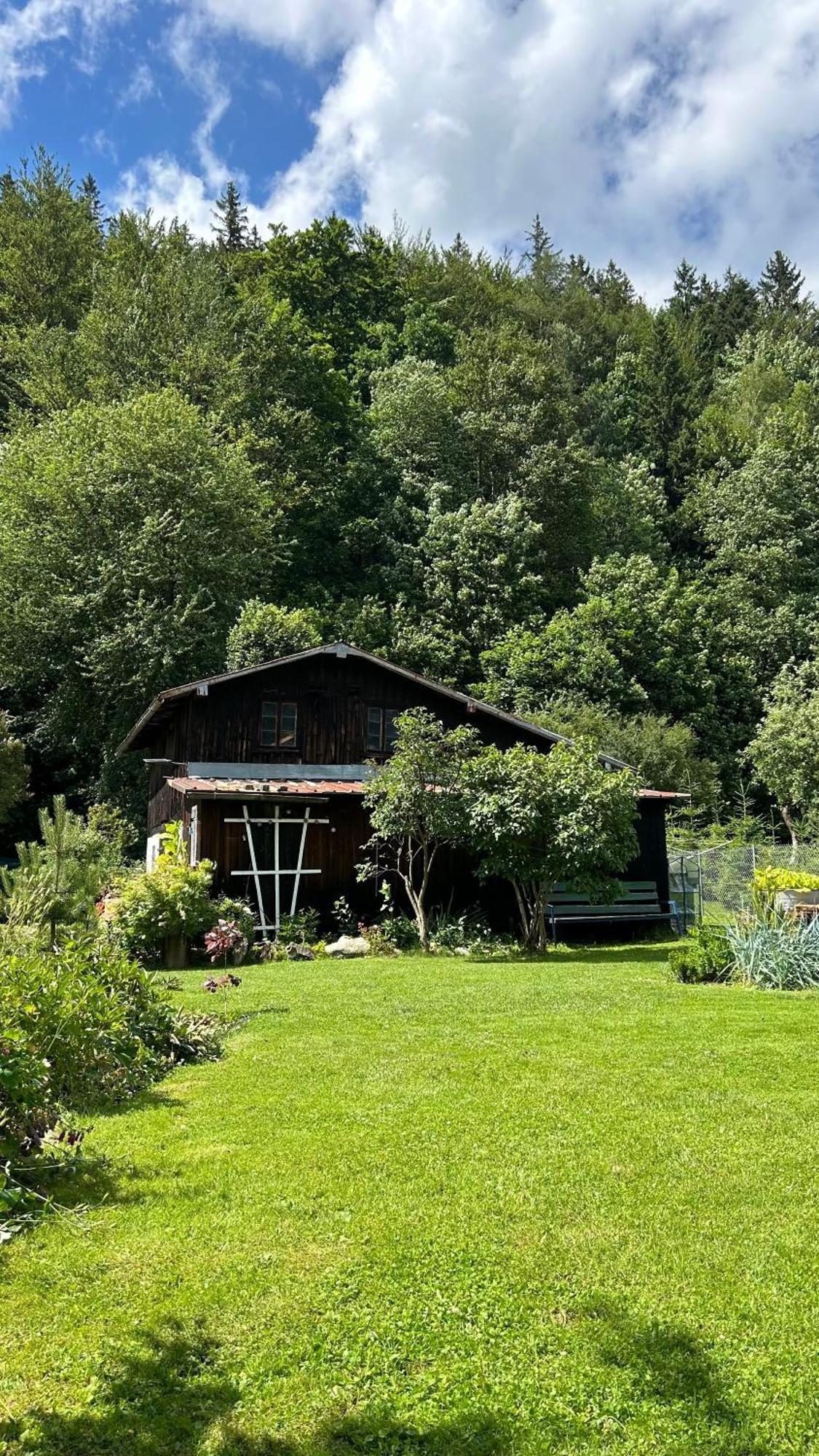 Apartamenty Goszowianka Stronie Śląskie Екстериор снимка